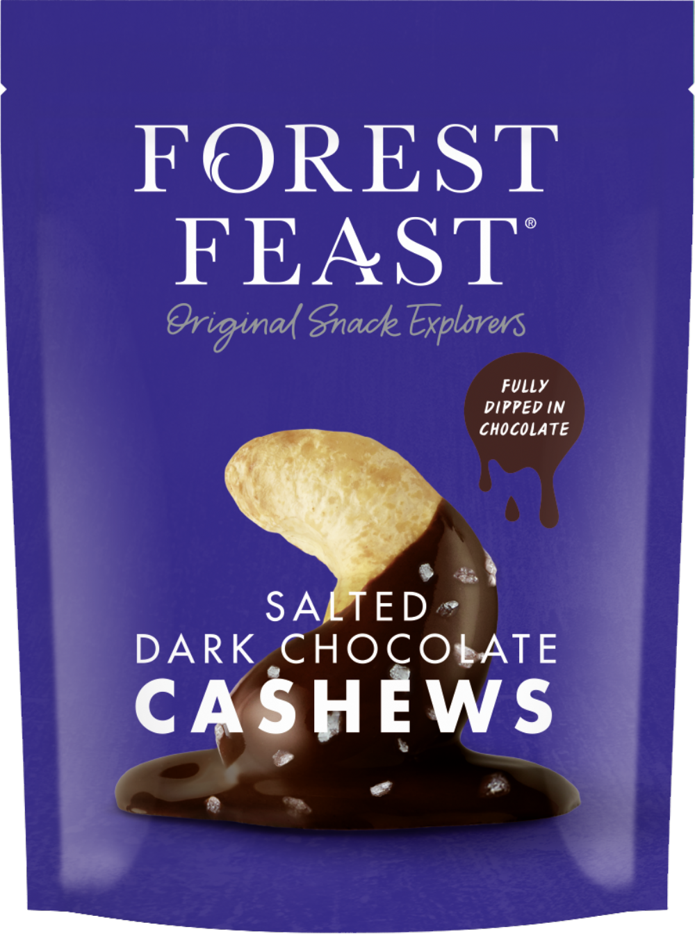 Forest Feast Salted Dark Chocolate Cashews 120G