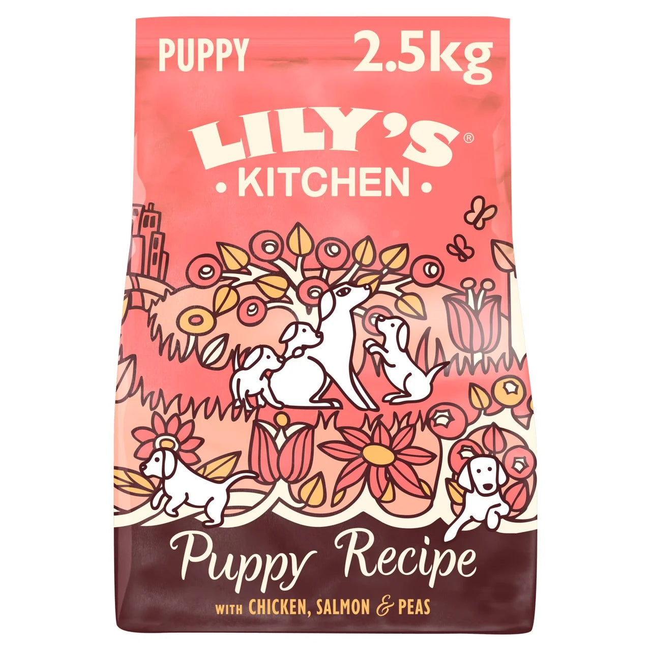 Lily's Kitchen Dog Chicken & Salmon Puppy Recipe Dry Food - 2.5kg
