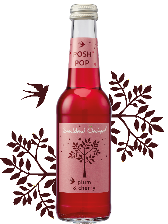 Breckland Orchard Posh Pop - Plum & Cherry 275Ml