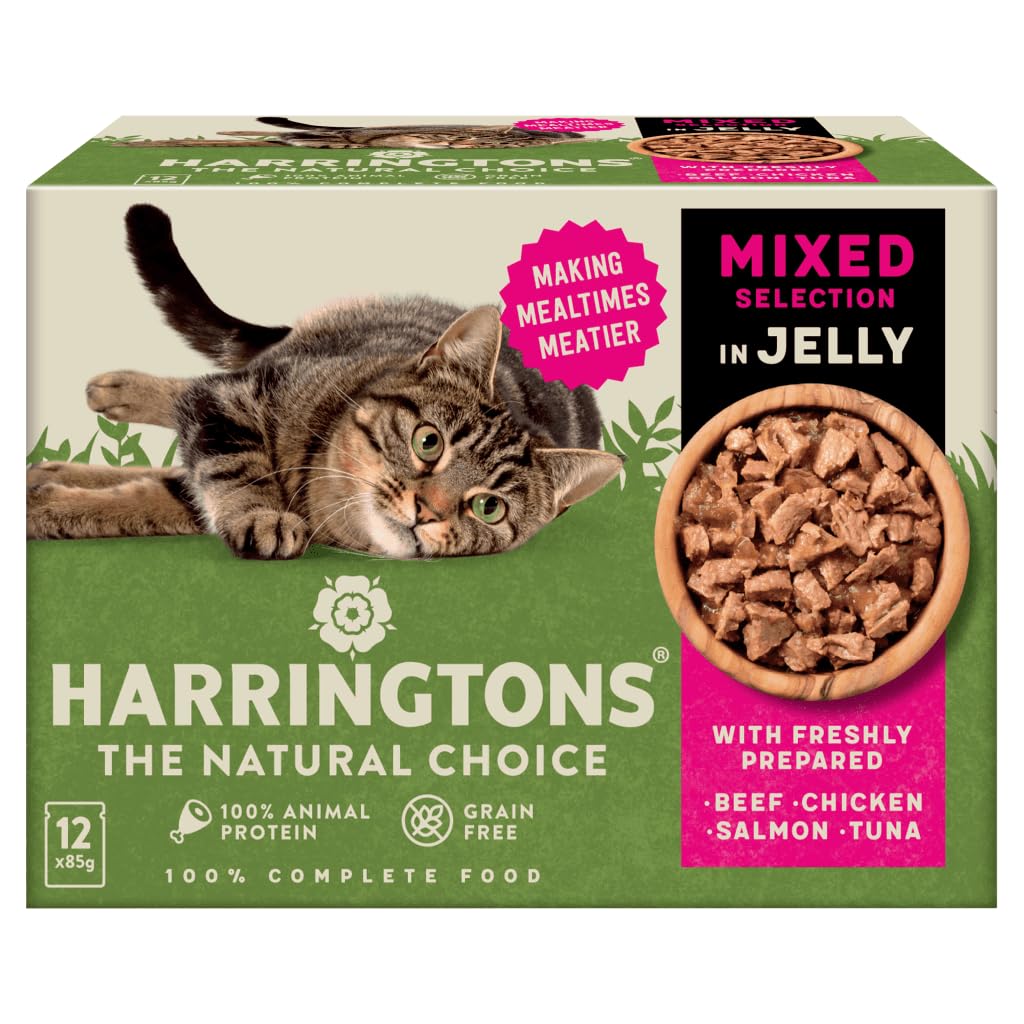 HARRINGTONS Mixed Selection in Jelly Senior Cat, 12 x 85g