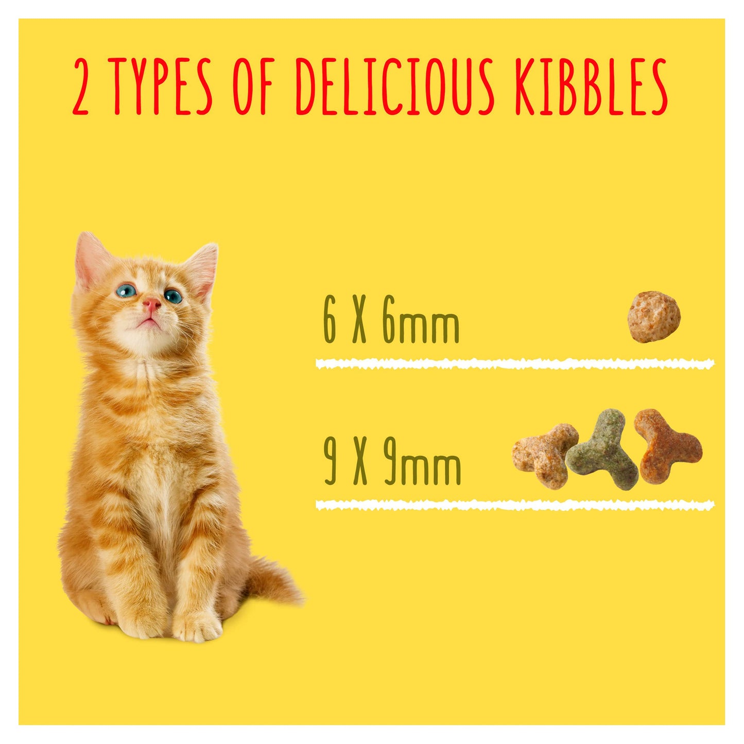 Go Cat Complete Kitten Dry Food with Chicken Milk and Vegetables, 2kg