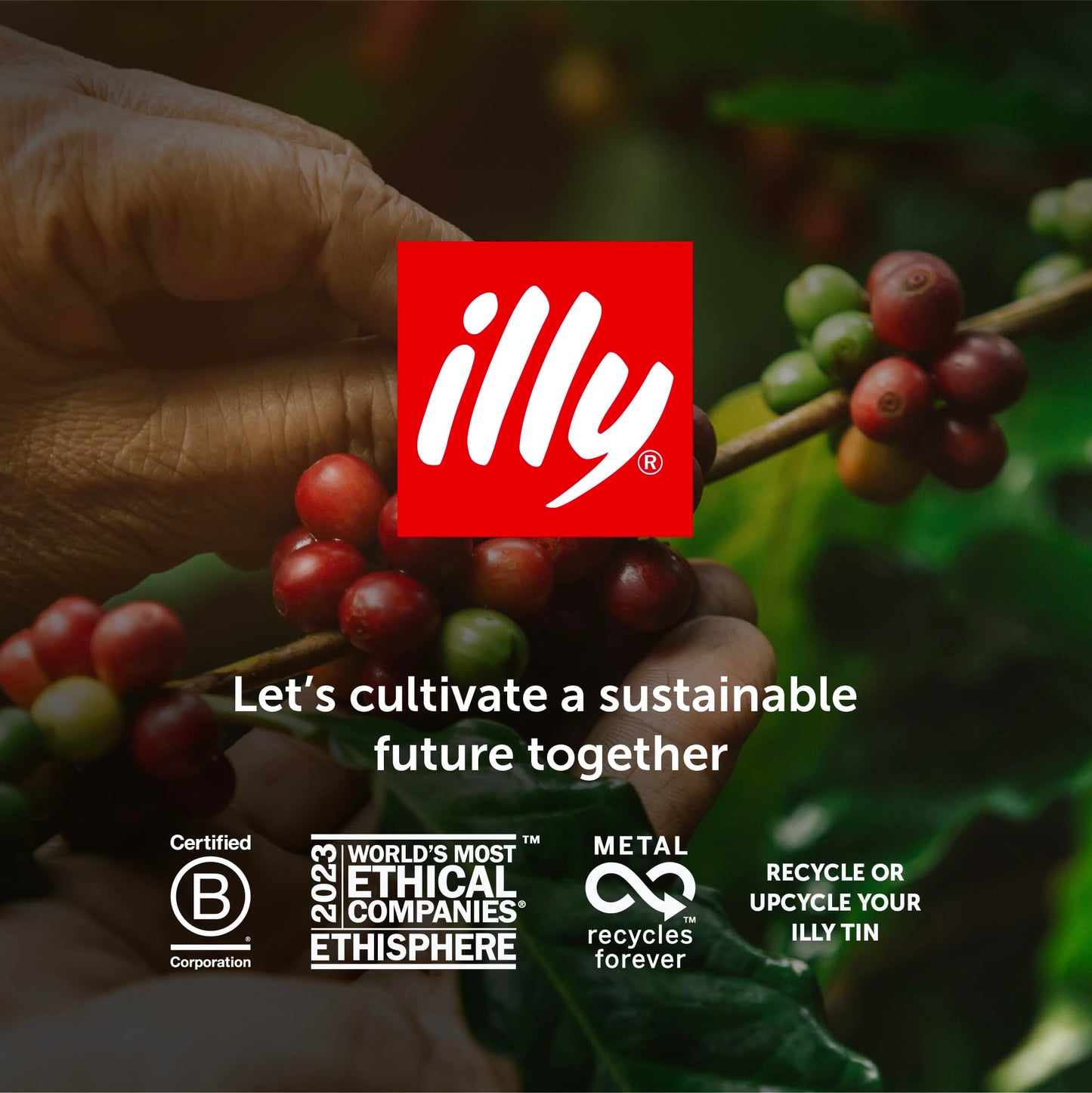 illy Intenso Ground Coffee, Dark Roast, 100% Arabica, Coarse Grind for Cafetiere & Filter Coffee, Suitable for Drip Coffee Makers, 250g Tin