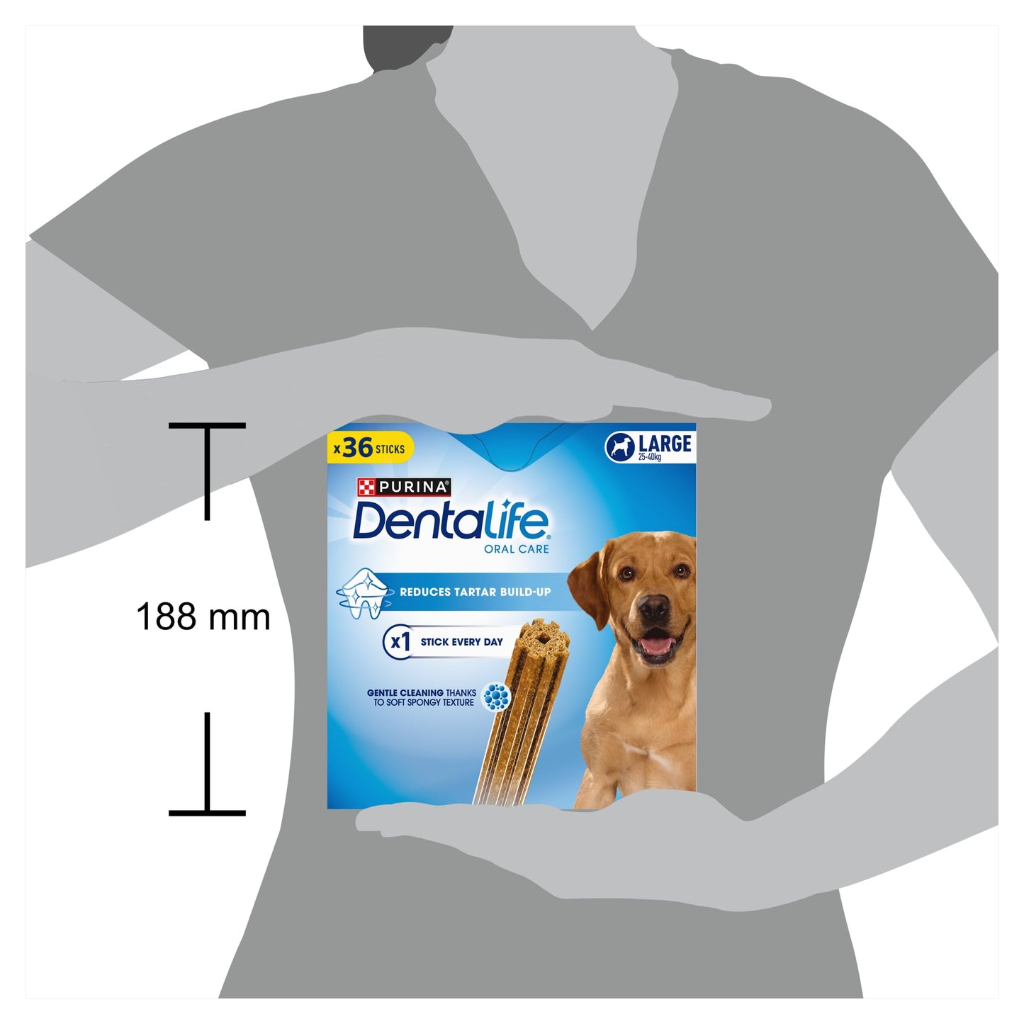 PURINA Dentalife | Large Dog Treat Dental Chew 36 Stick