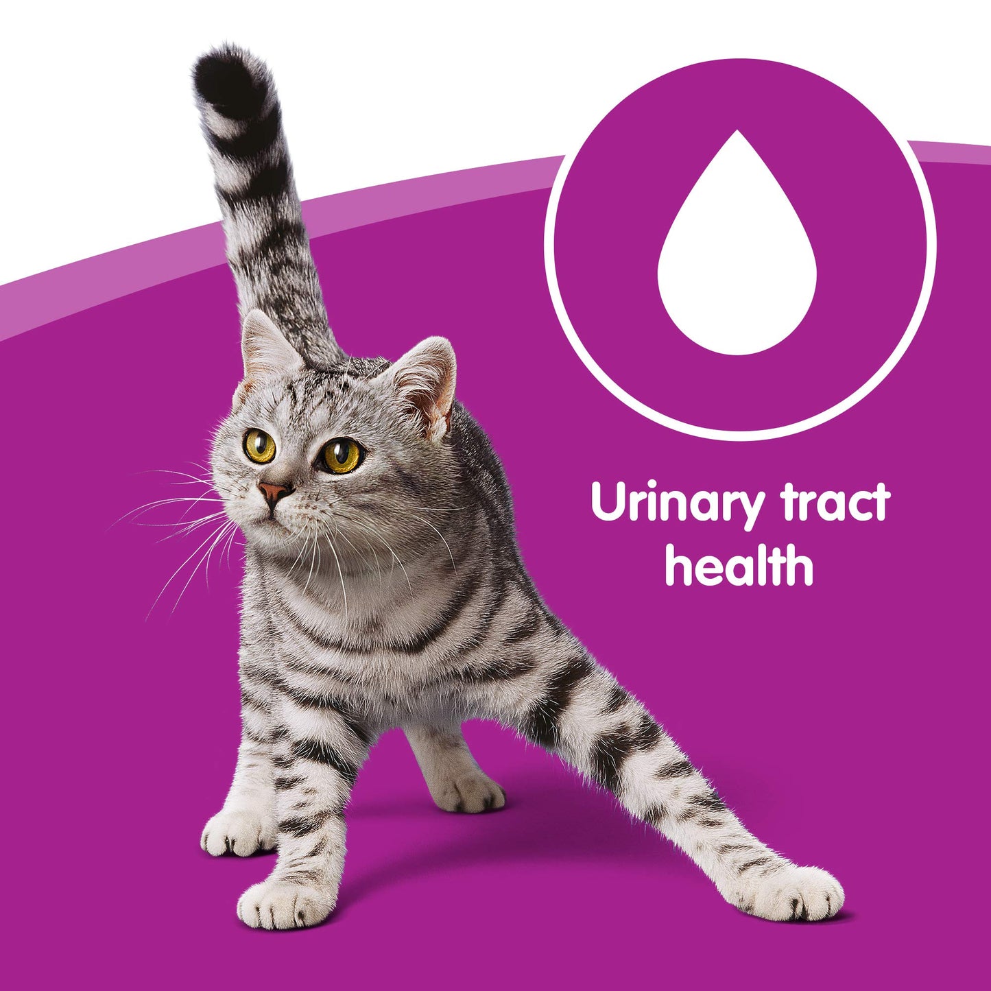 Whiskas 7+ Cat Wet Food in Pouch for Senior Cats, Pure Delight Fish Selection in Jelly, 12x 85g