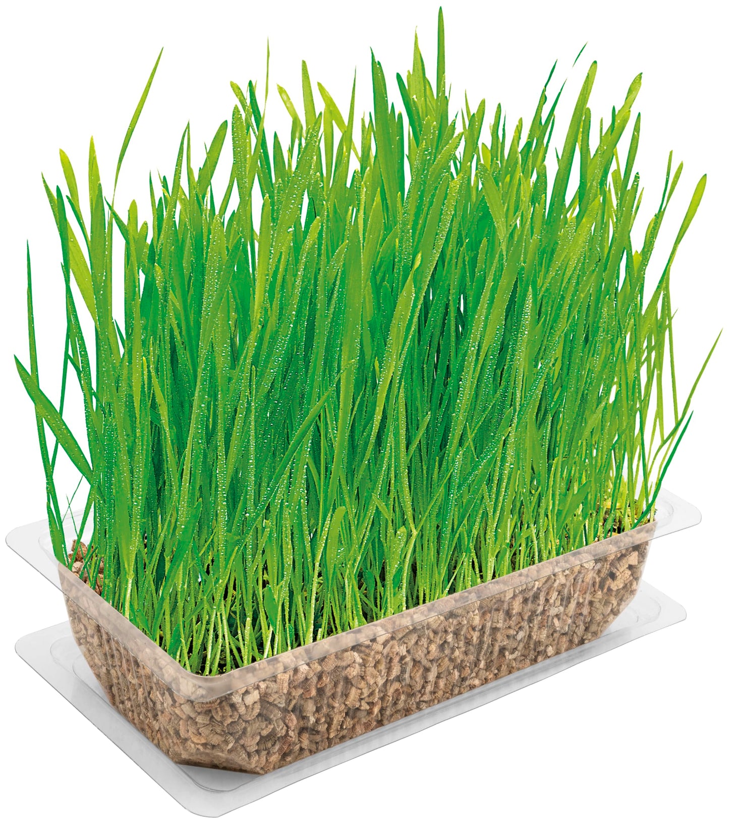 Vitakraft Cat Grass 120g