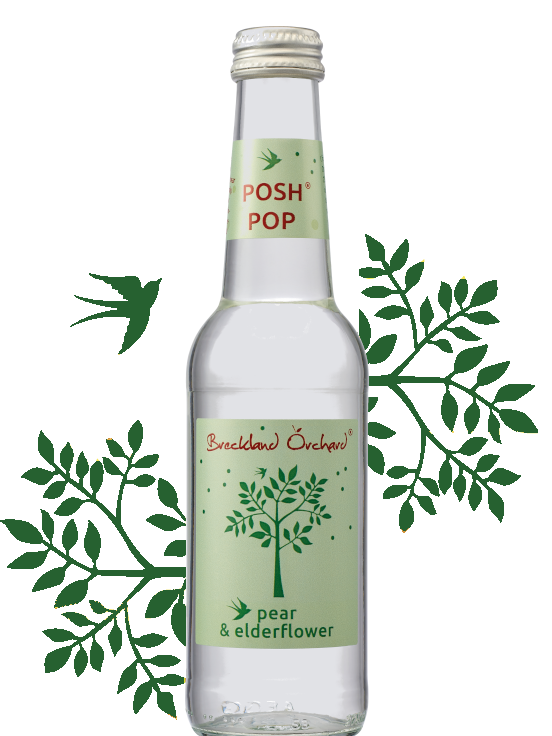 Breckland Orchard Posh Pop - Pear & Elderflower 275Ml