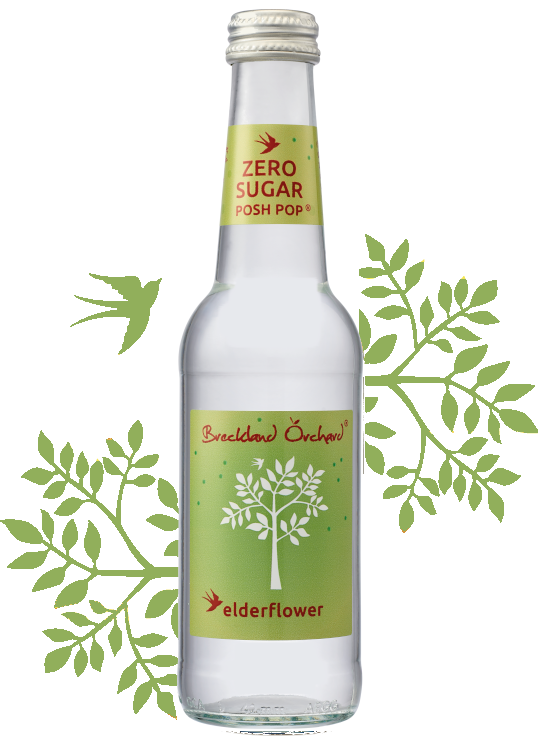 Breckland Orchard Zero Sugar Posh Pop - Elderflower 275Ml