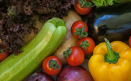 Dried Vegetables