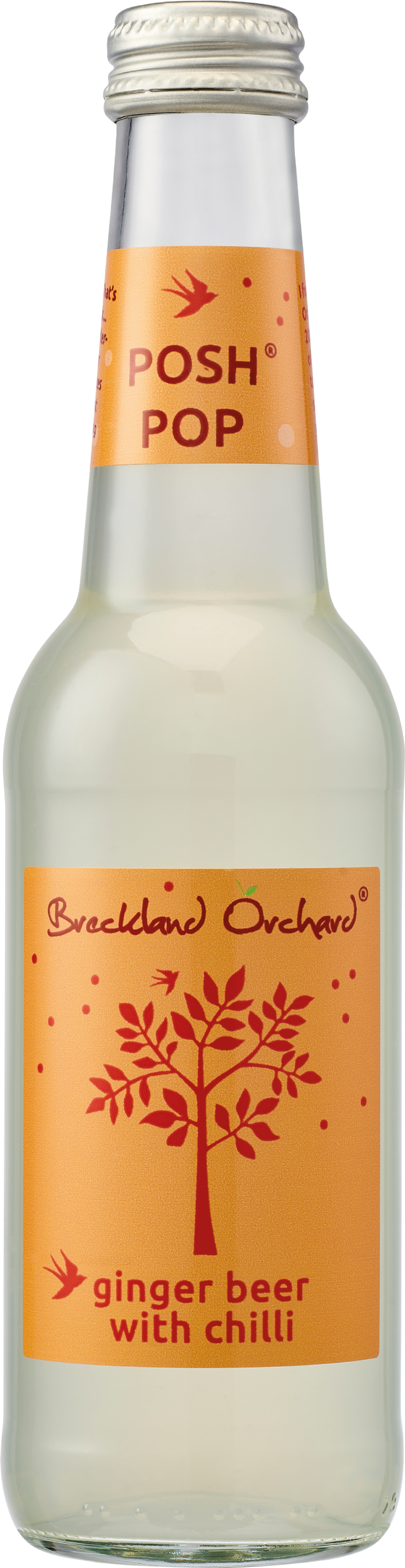Breckland Orchard Posh Pop - Ginger Beer With Chilli 275ml