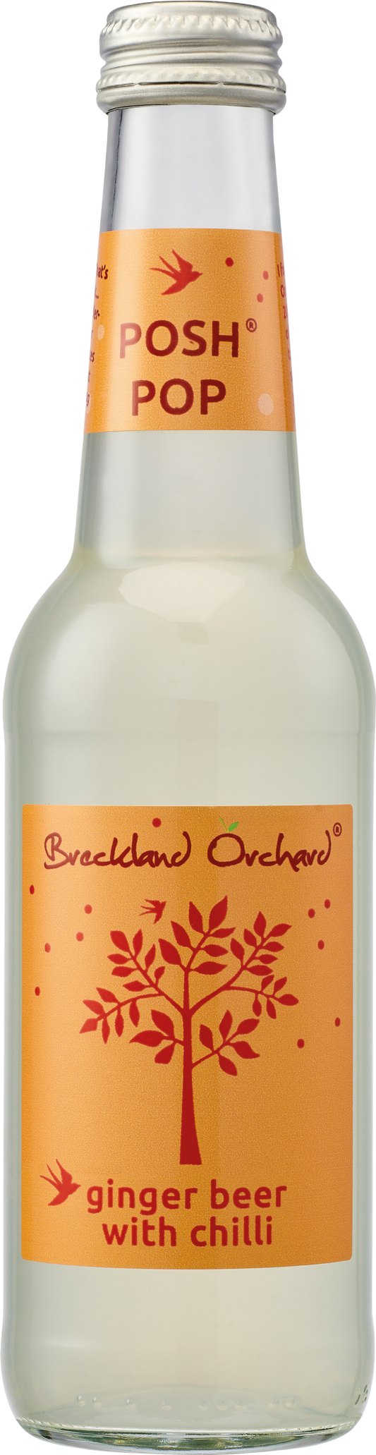 Breckland Orchard Posh Pop - Ginger Beer With Chilli 275ml