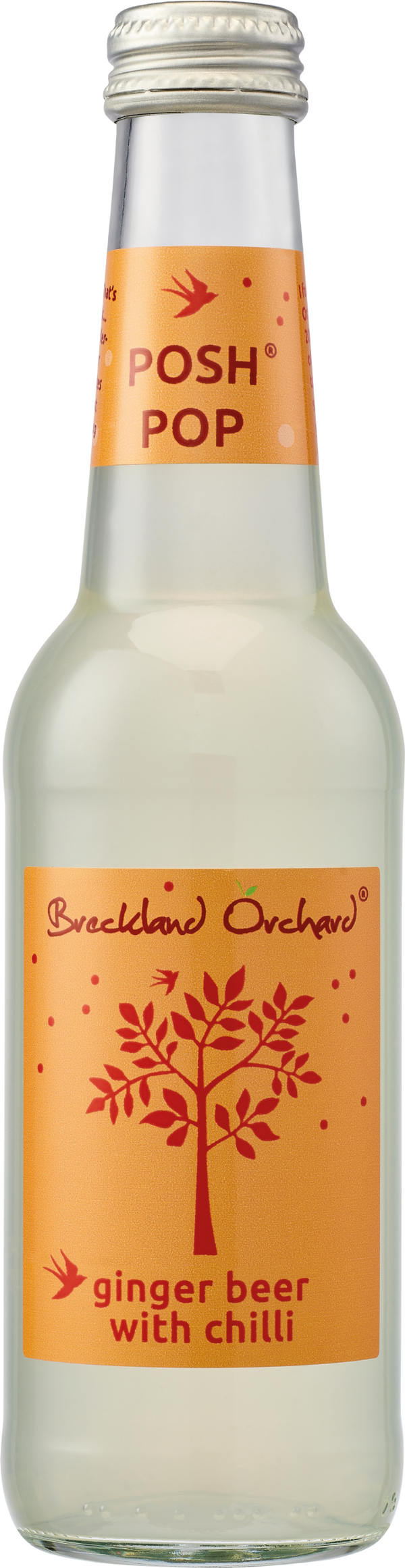 Breckland Orchard Posh Pop - Ginger Beer With Chilli 275ml