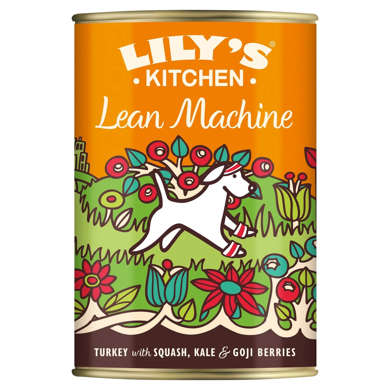 Lily's Kitchen Lean Machine Tin for Dogs - 400g