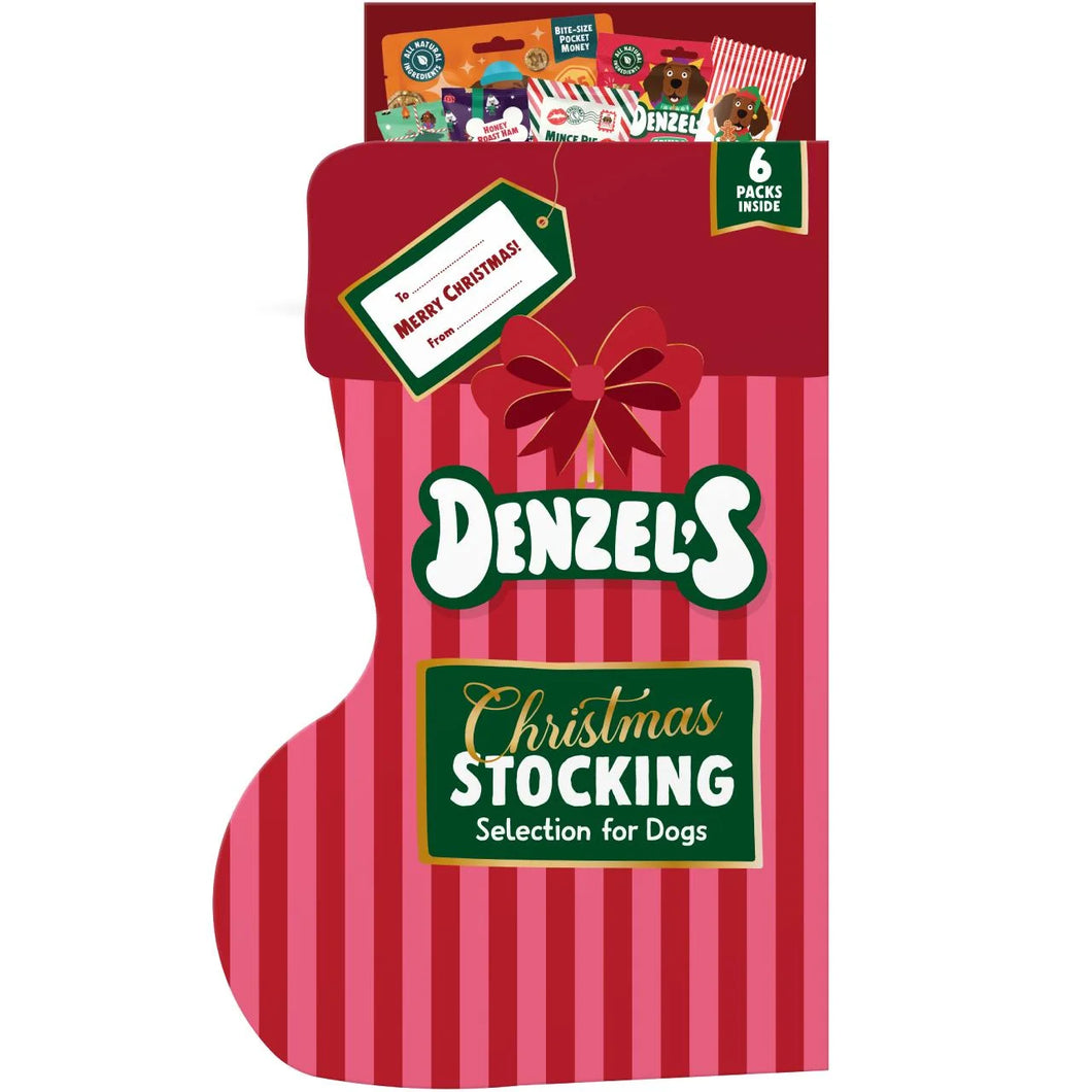 Denzel's Christmas Stocking Selection of Dog Treats 214g
