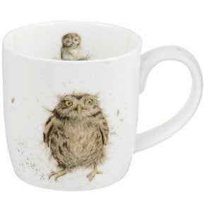 Royal Worcester Owl Mug