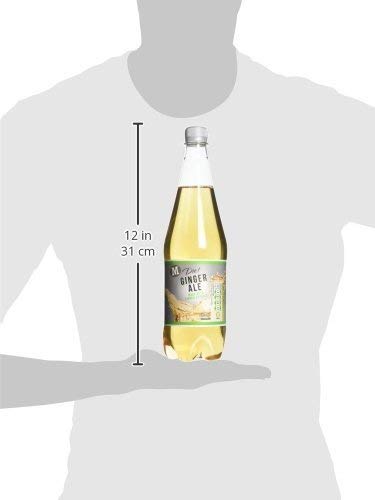 Morrisons Diet Ginger Ale 1L