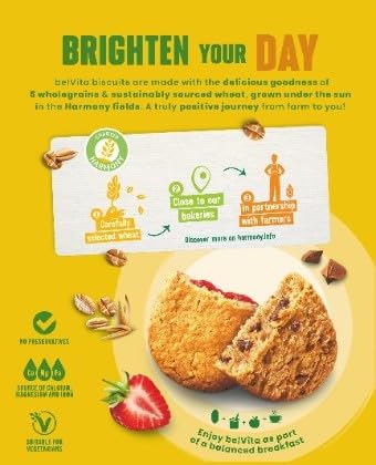 Belvita Softs Bakes, Strawberry Filled & Choc Chips 250 g (Pack of 1)
