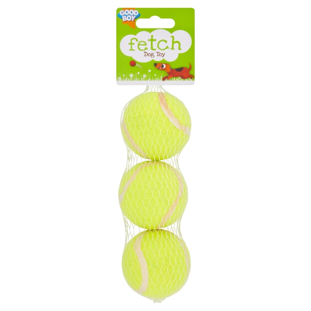 Good Boy Fetch Dog Toy