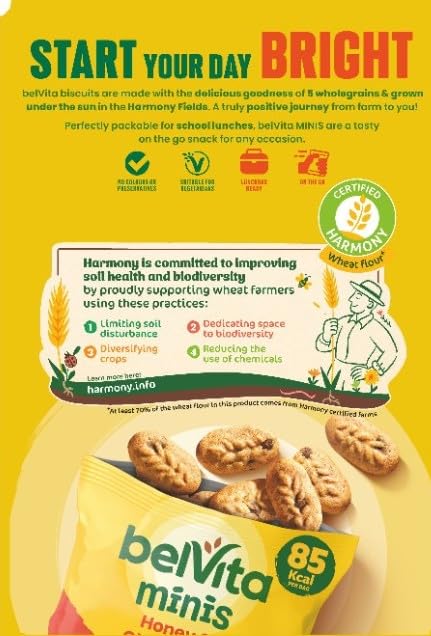 Belvita Minis, Honey & Chocolate Chips, 5 Snack Bags, 95 g (Pack of 1)