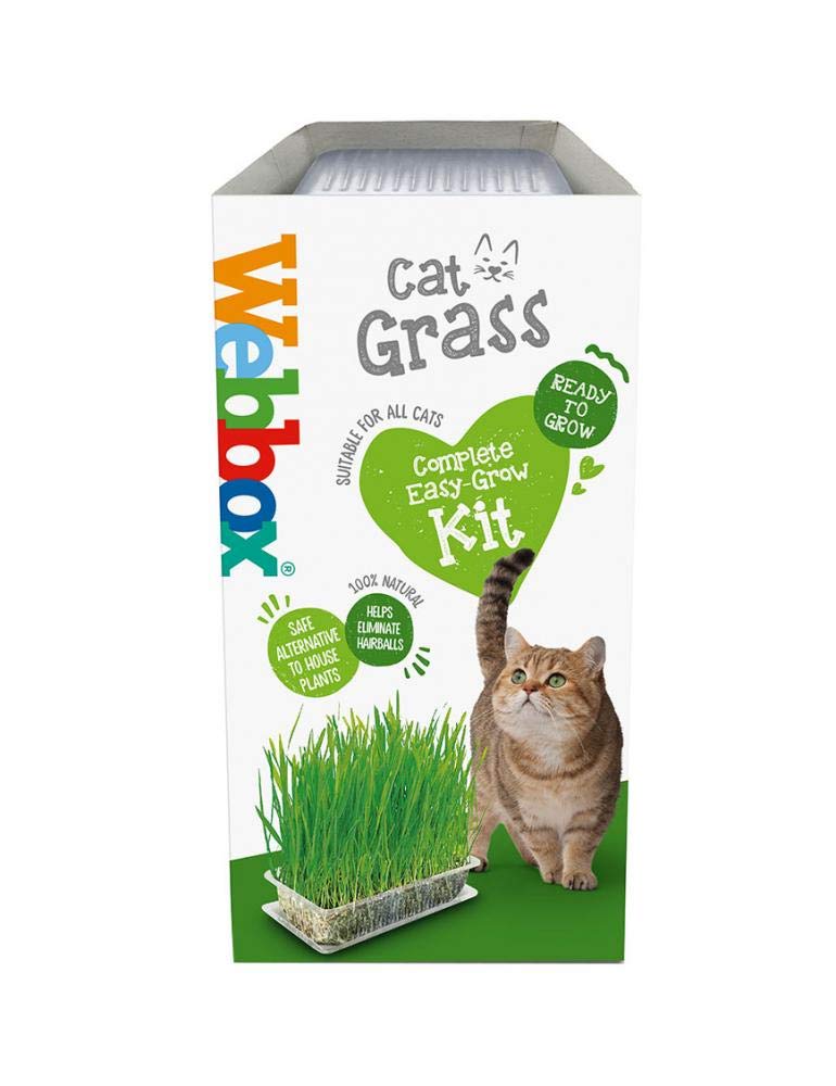 Webbox Cat Grass Kit, 120g