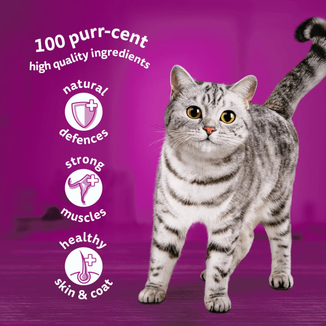 Whiskas 1+ Poultry Feasts Adult Wet Cat Food Pouches in Gravy 12 x 85g