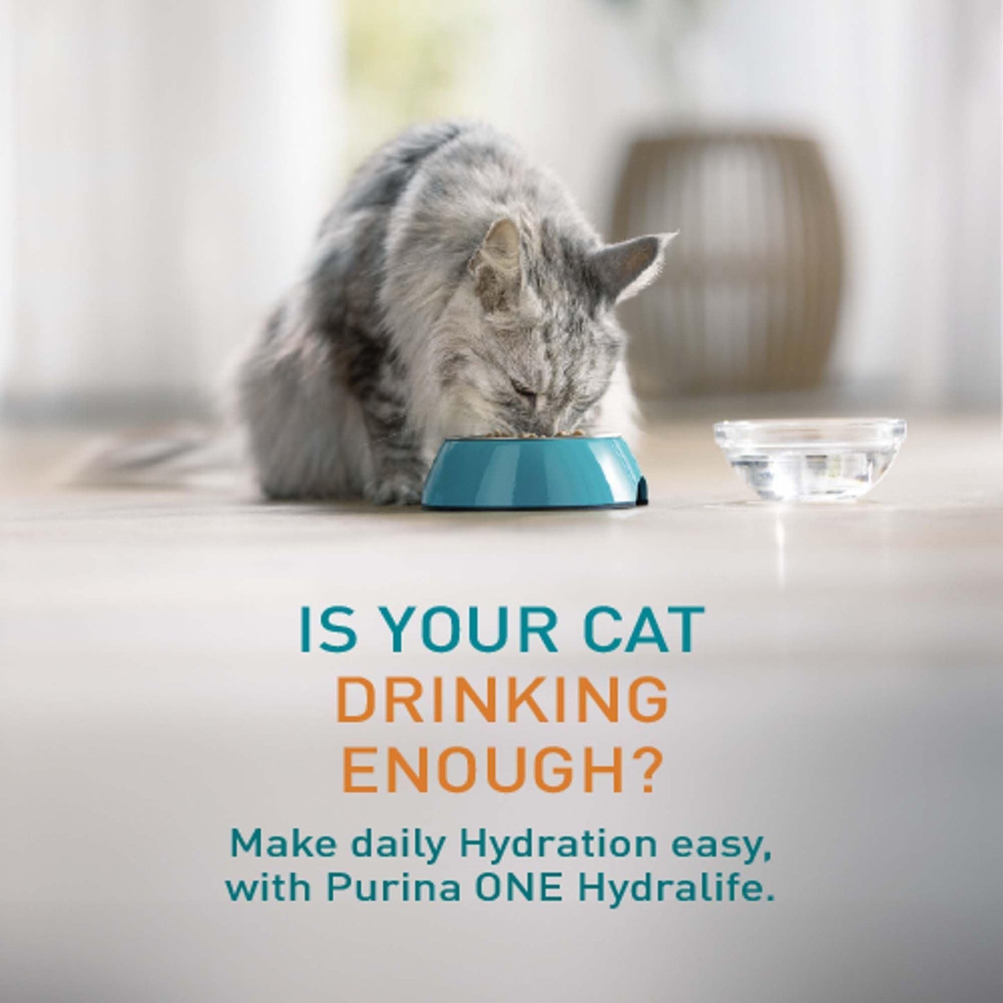PURINA ONE Hydralife Salmon Cat Supplements 6x50g