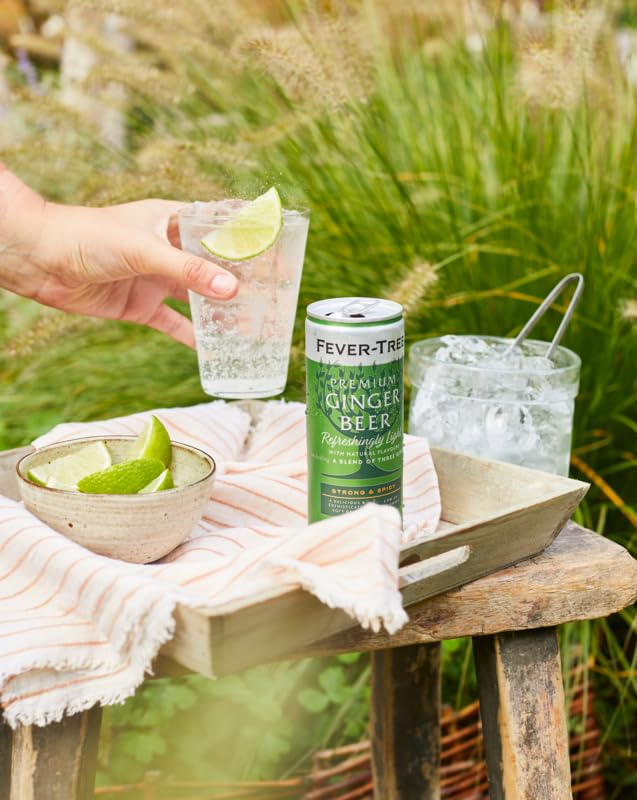 Fever-Tree Premium Ginger Beer 24 x 150ml