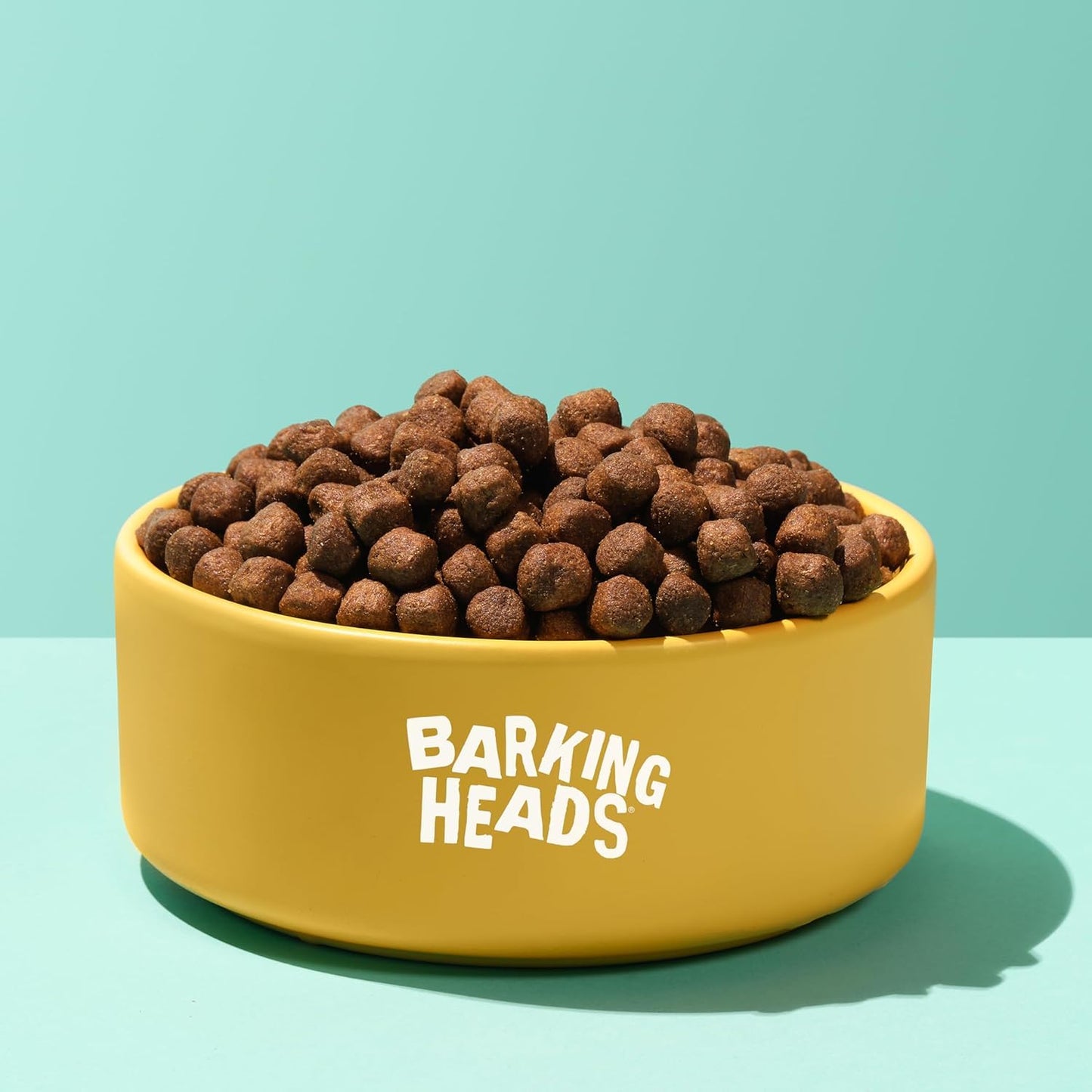Barking Heads Complete Dry Dog Food - Natural Grain Free Hypoallergenic for Skin & Coat - Vet Approved