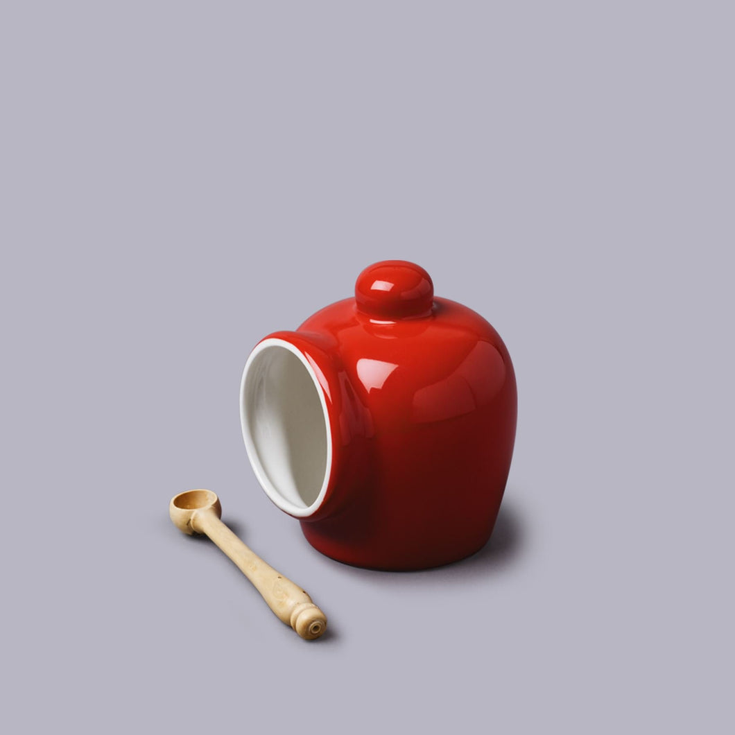 CKS Red Salt Storage Pig with Spoon