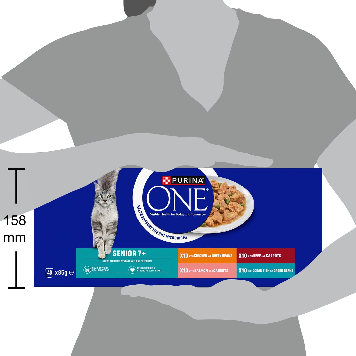 PURINA ONE Senior 7+ Mini Fillets Mixed Selection Wet Cat Food 40x85g