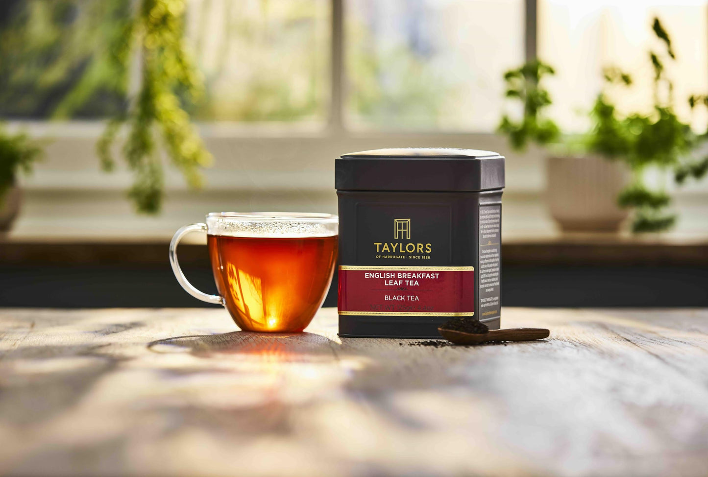 Taylors of Harrogate English breakfast Loose Leaf tea 125g (1 x Caddy)