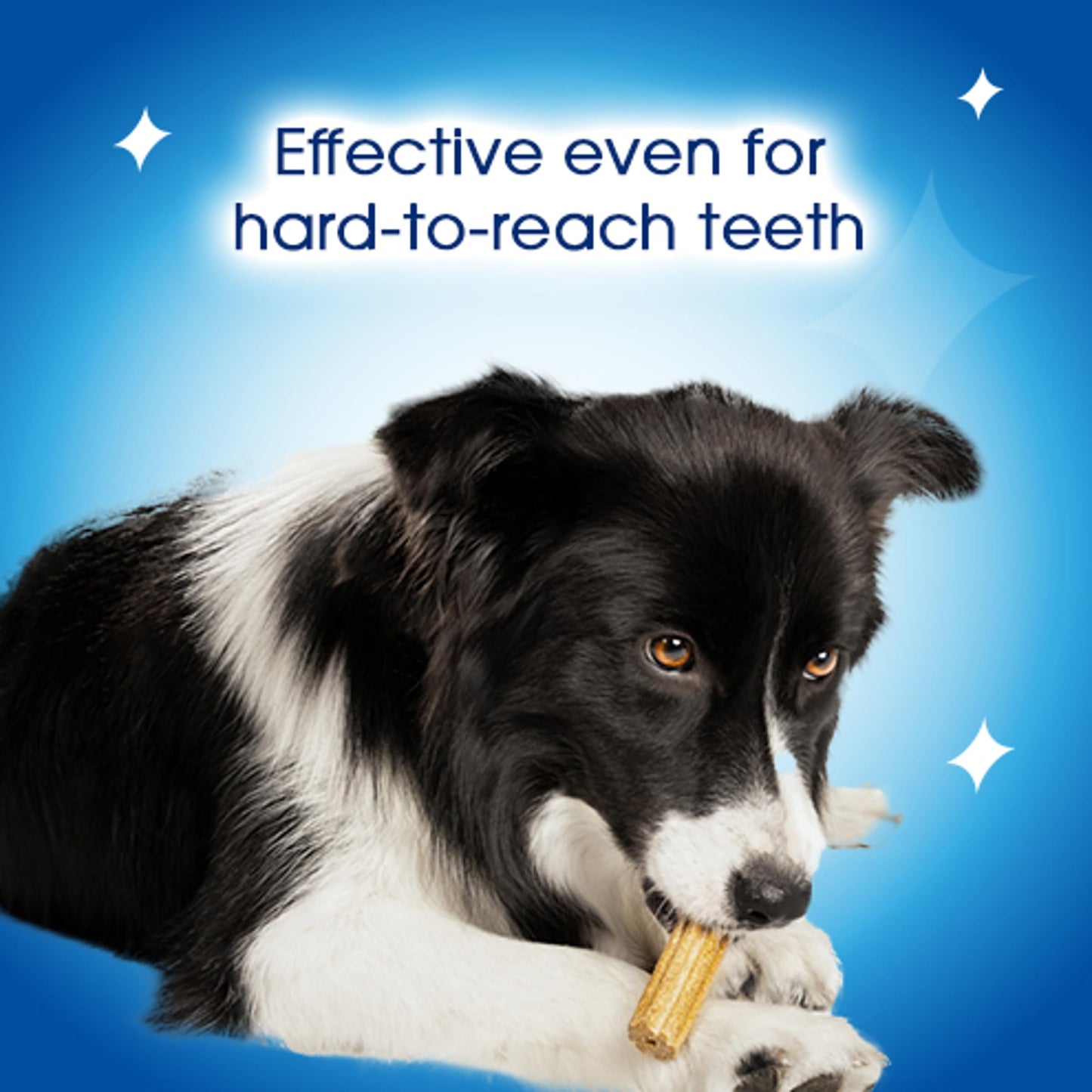 PURINA Dentalife | Large Dog Treat Dental Chew 36 Stick