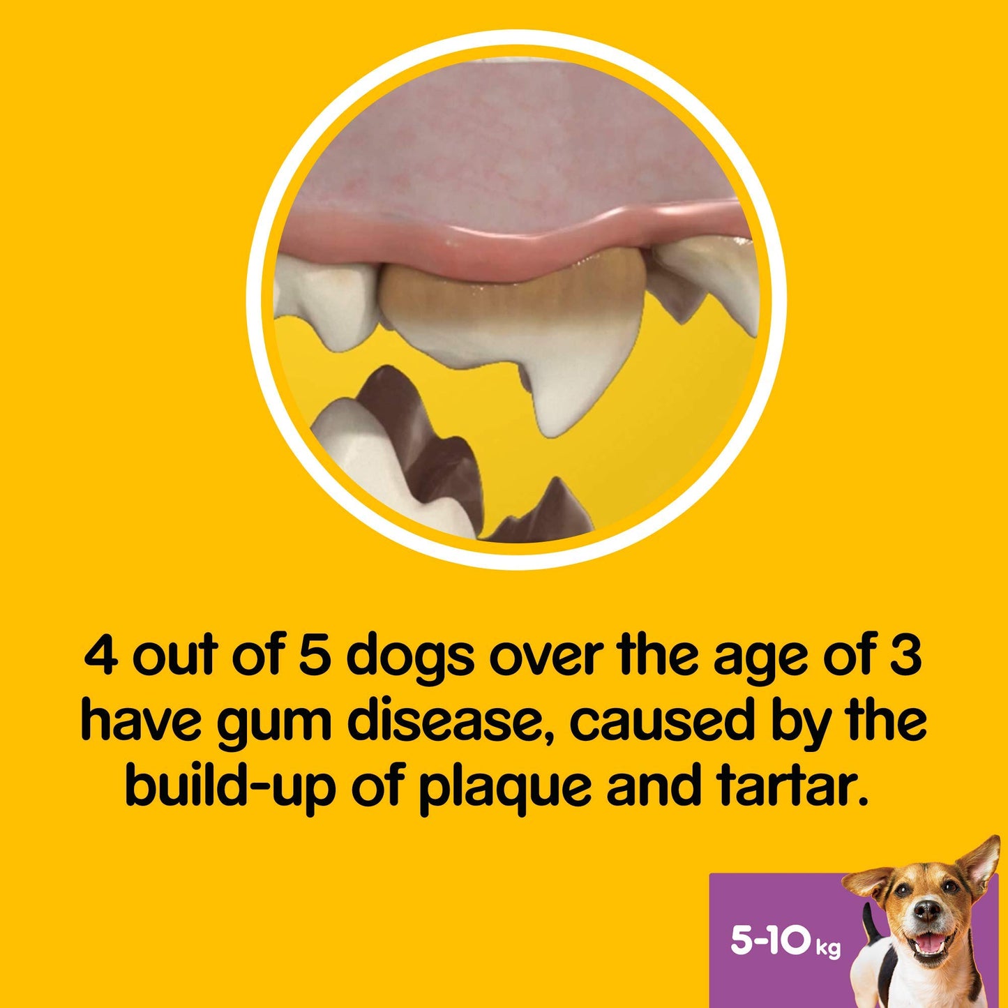 PEDIGREE Dentastix Fresh Daily Dental Chews Small Dog 7 Stick