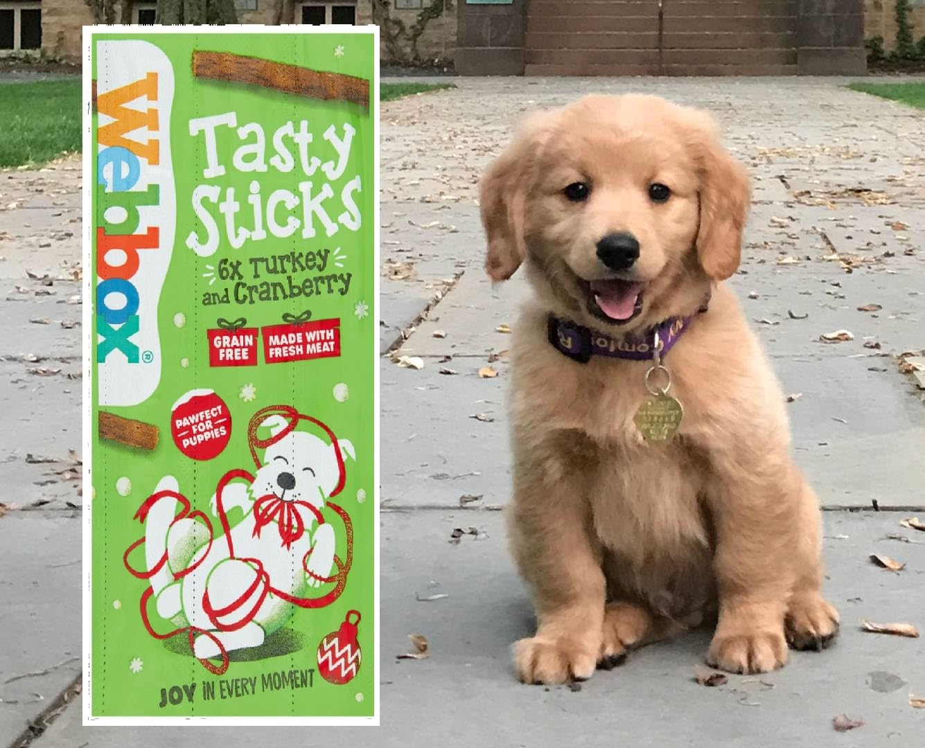 Webbox Dog Sticks Turkey and Cranberry, 30 g