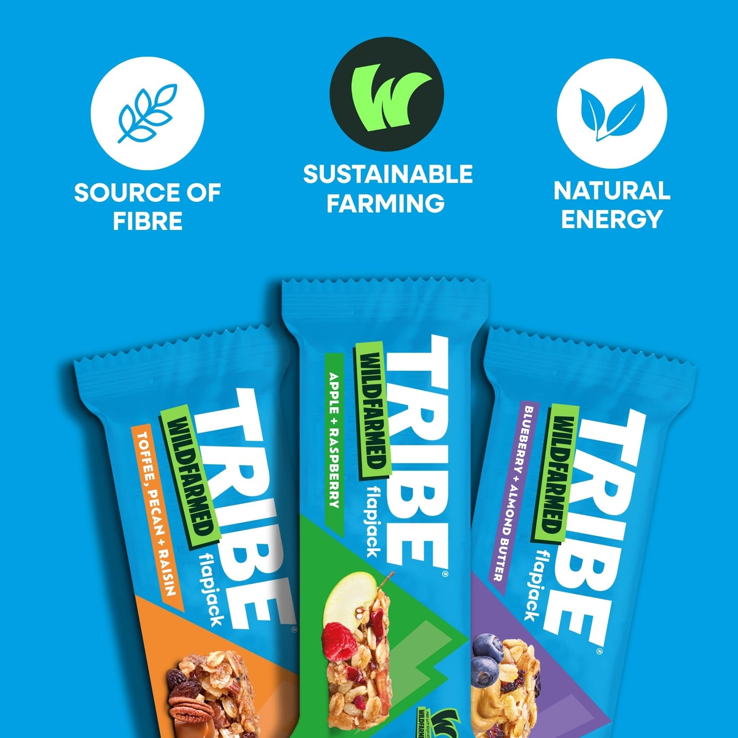 TRIBE x Wildfarmed Vegan Flapjack Bars - Blueberry & Almond Butter Oat Bars (3 x 50g Multipack Box) | Healthy Energy Snacks | Source Of Fibre, Natural Ingredients | Sustainable Oats | Breakfast Bars