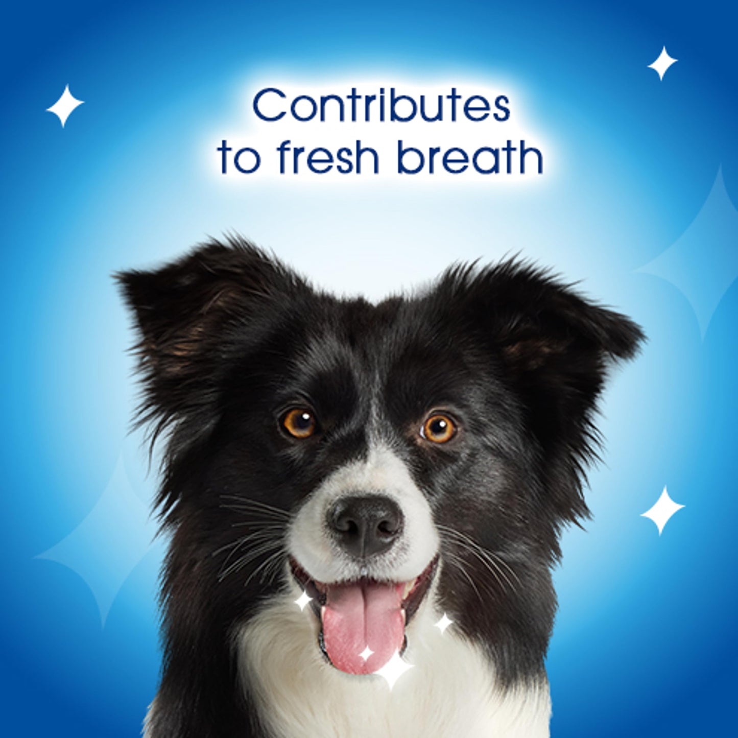 PURINA Dentalife | Large Dog Treat Dental Chew 36 Stick