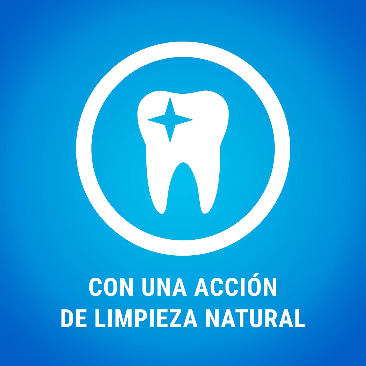 Purina dentalife Dog Small 4 x 345 g
