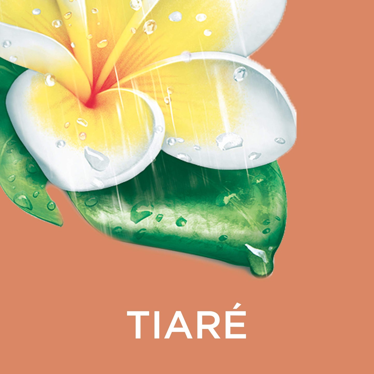 Tahiti Tiare Shower Gel 250 ml