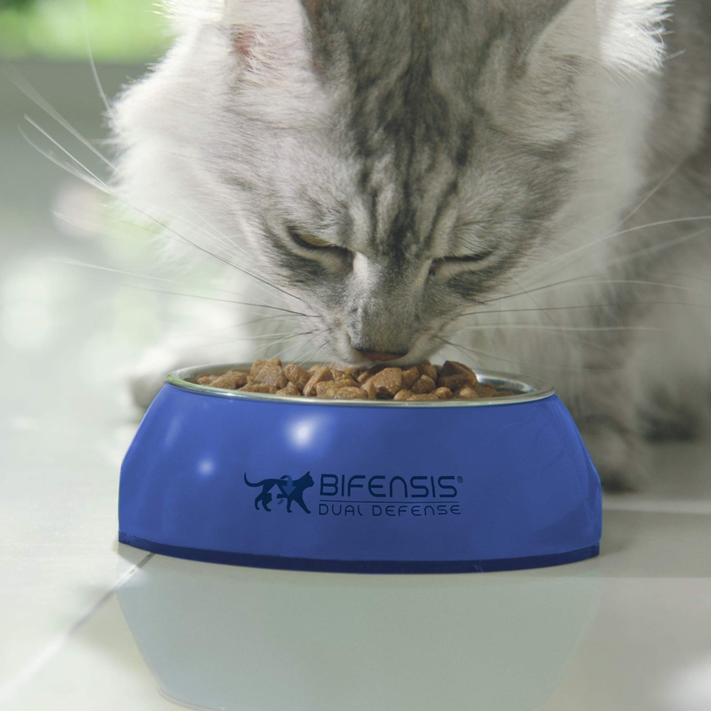 PURINA ONE | Light Dry Cat Food Chicken and Wheat 800g
