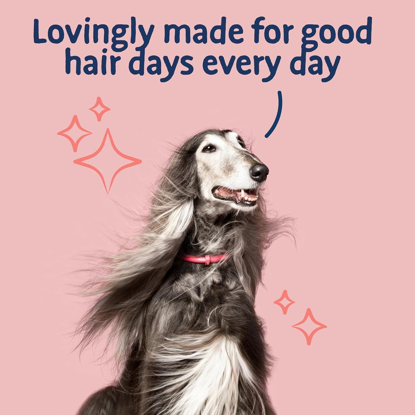 Barking Heads Complete Dry Dog Food - Natural Grain Free Hypoallergenic for Skin & Coat - Vet Approved