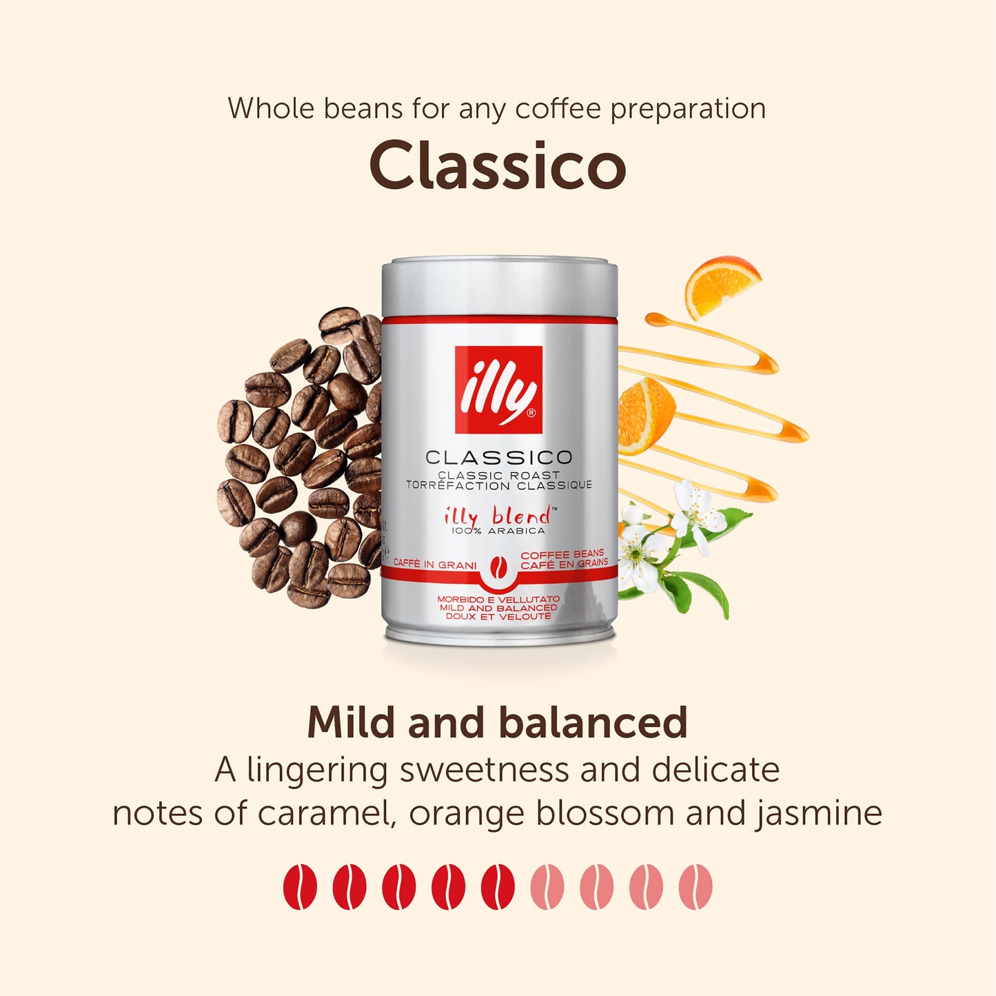 illy Brazil Cerrado Mineiro Single Origin 100% Arabica Coffee Beans - Regenerative Agriculture Certified - Ideal For Moka Pots & Filter Coffee - 250g Tin