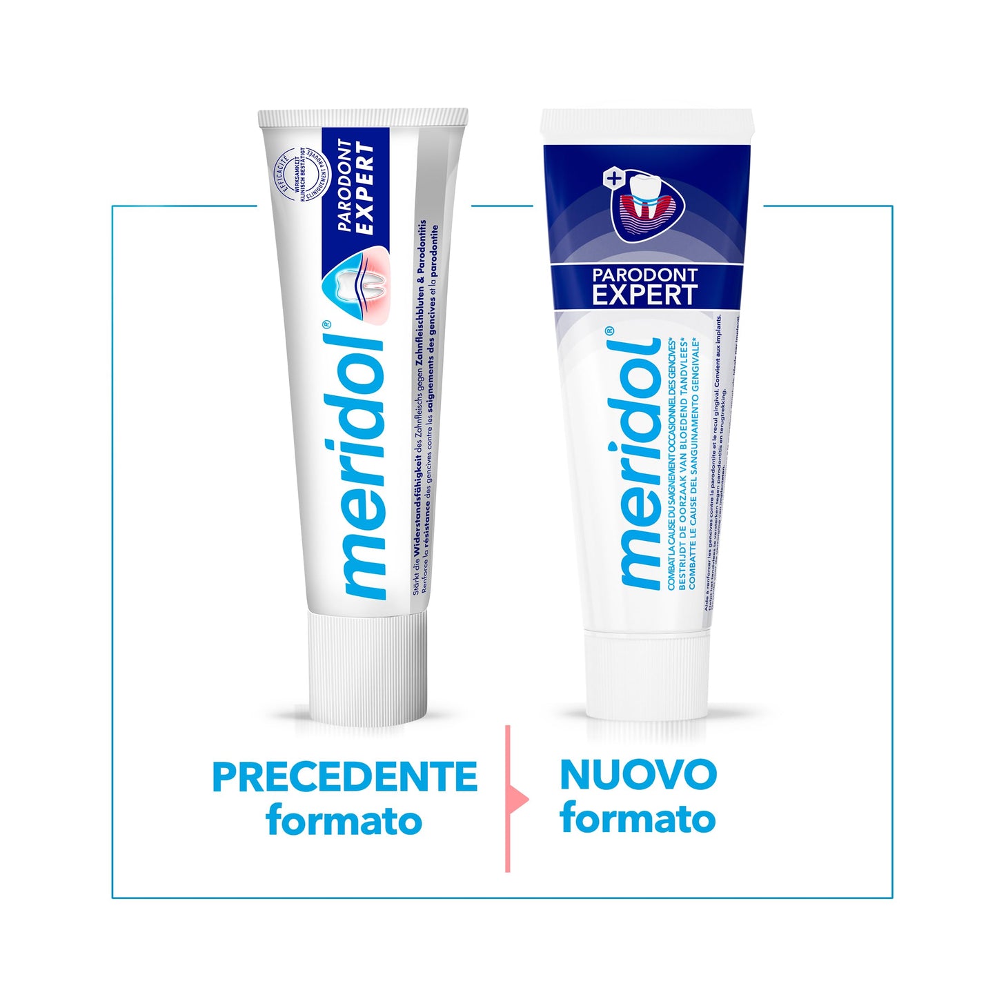 Meridol Parodont Expert Toothpaste 75ml