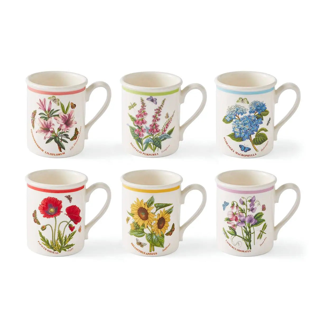 Portmeirion Botanic Garden Meadow Breakfast Mug Set of 6
