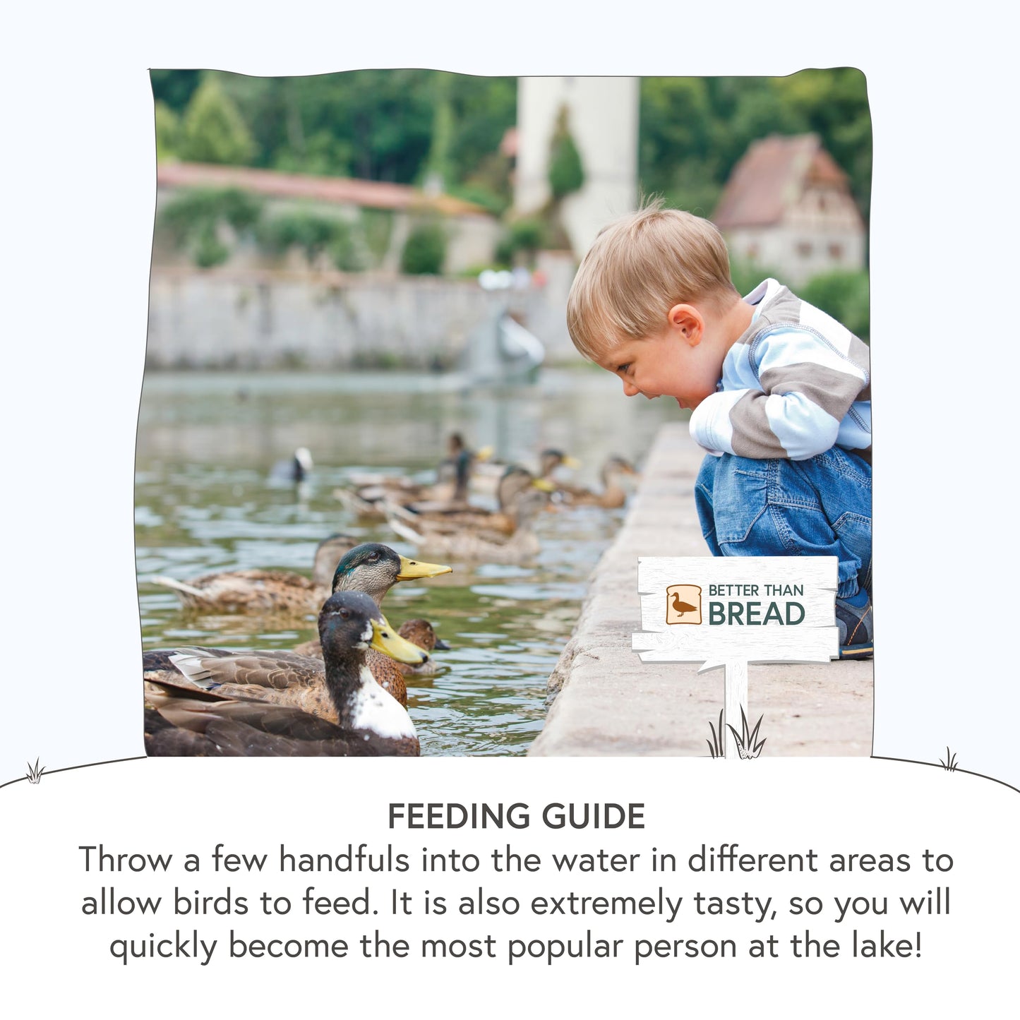Shorefields Wildthings Swan & Duck Food 175g