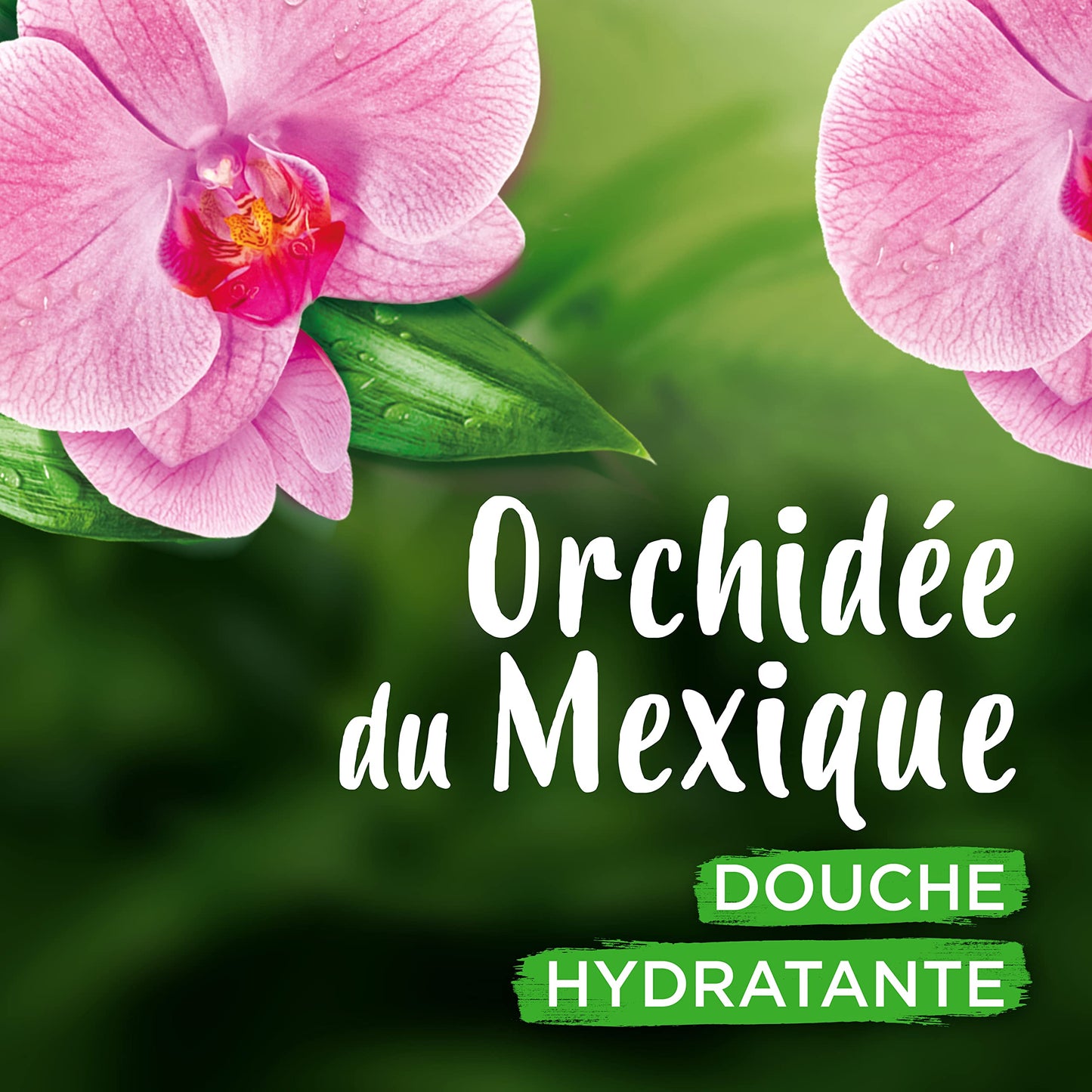 Ushuaïa Orchid Shower Gel 300ml