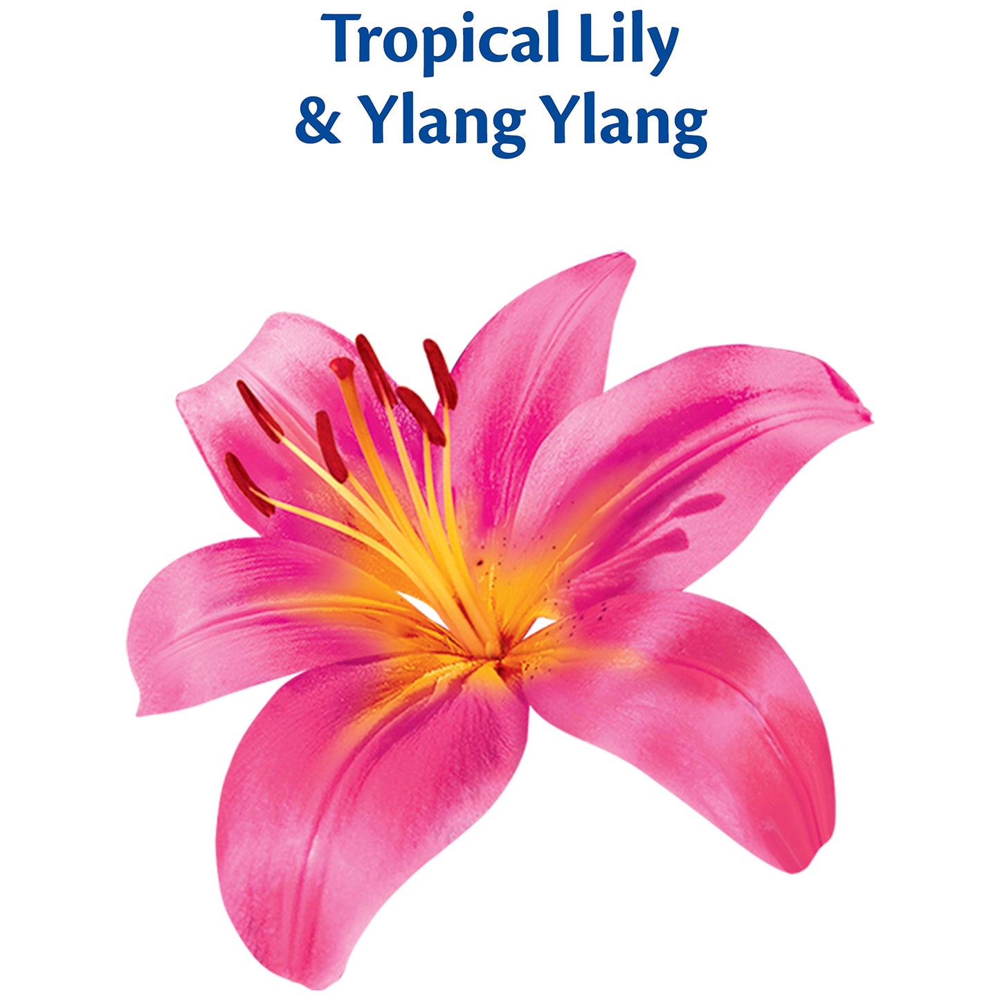Surf Tropical Lily & Ylang Ylang Laundry Detergent Powder 6.3kg