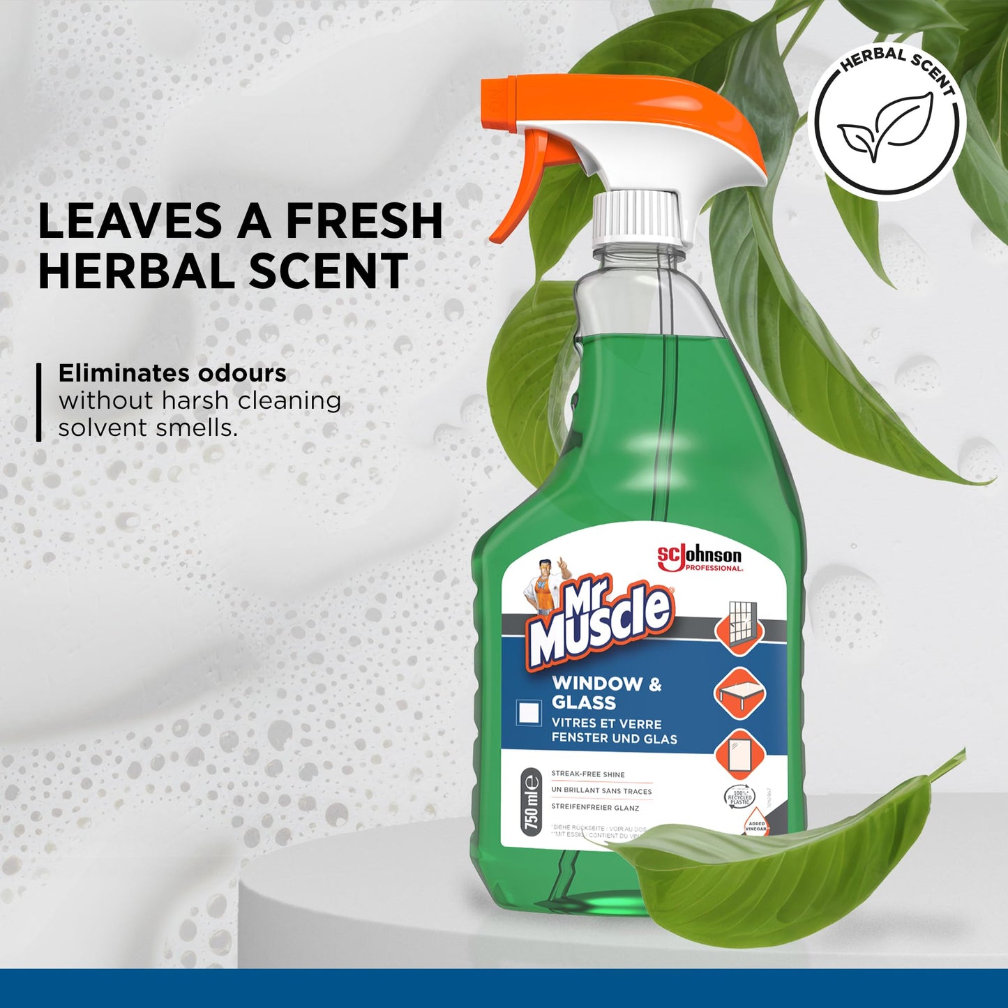 SC Johnson Professional Mr Muscle Window & Glass Cleaner – Streak-Free Shine – Vinegar Power – Removes Smudges & Fingerprints – 750ml Spray – For Professional Use Only
