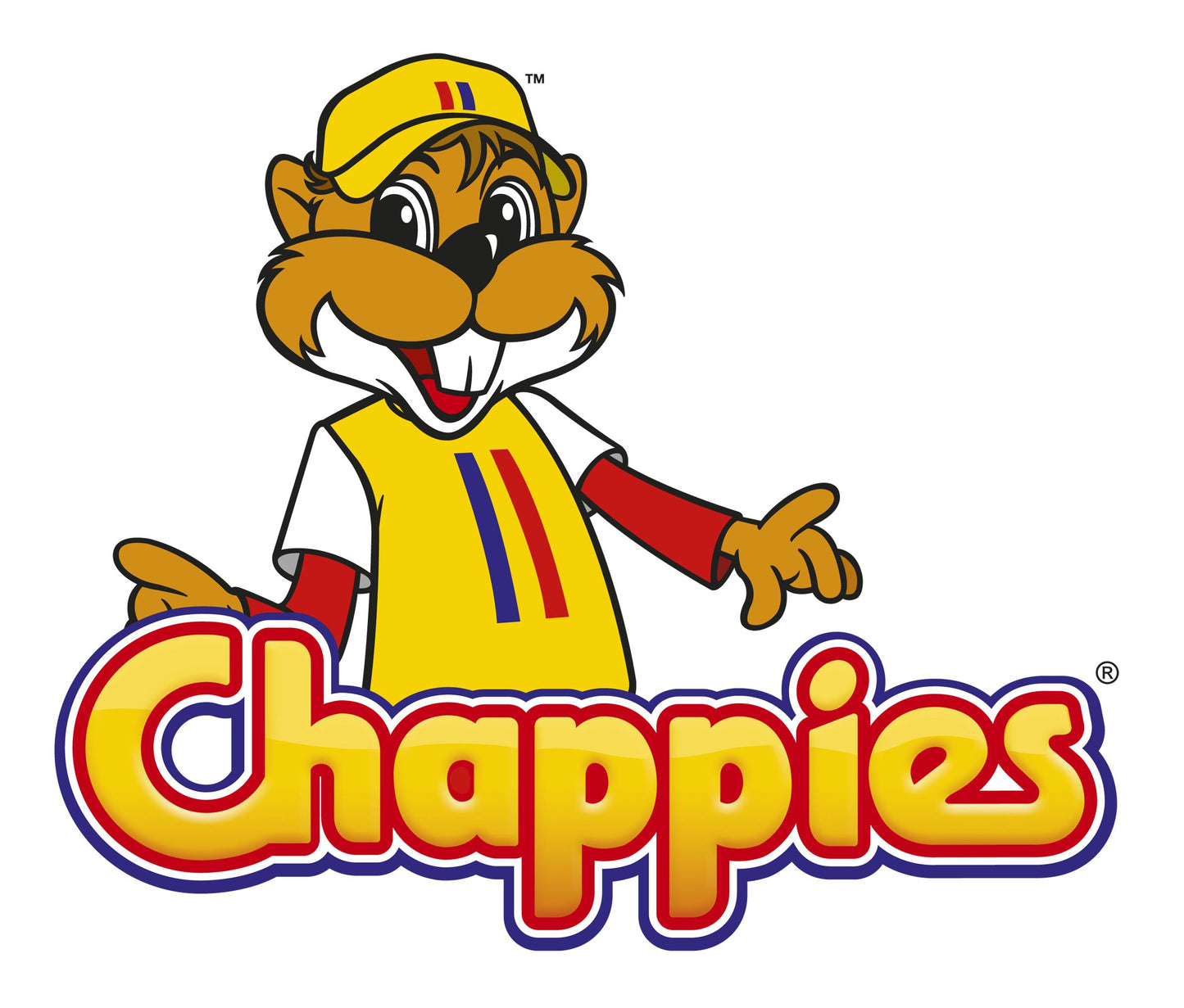 Chappies Fruit Assorted Flavoured Bubblegum 100 unites - Chappies Bubblegum Fruit - Fruit flavoured bubblegum - South African Chewing Gum