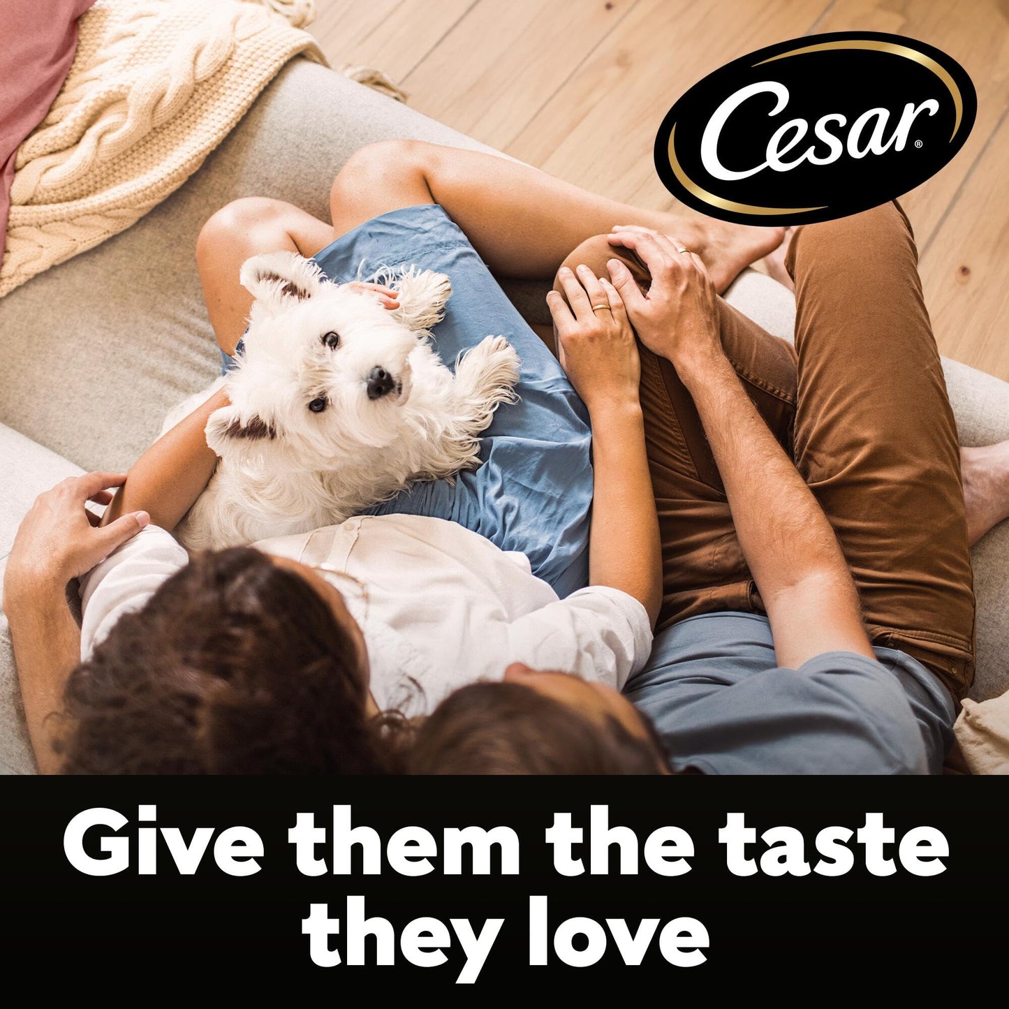 CESAR Junior Dry Dog Food with Fresh Chicken, Rice and Vegetables 5 x 1.4Kg
