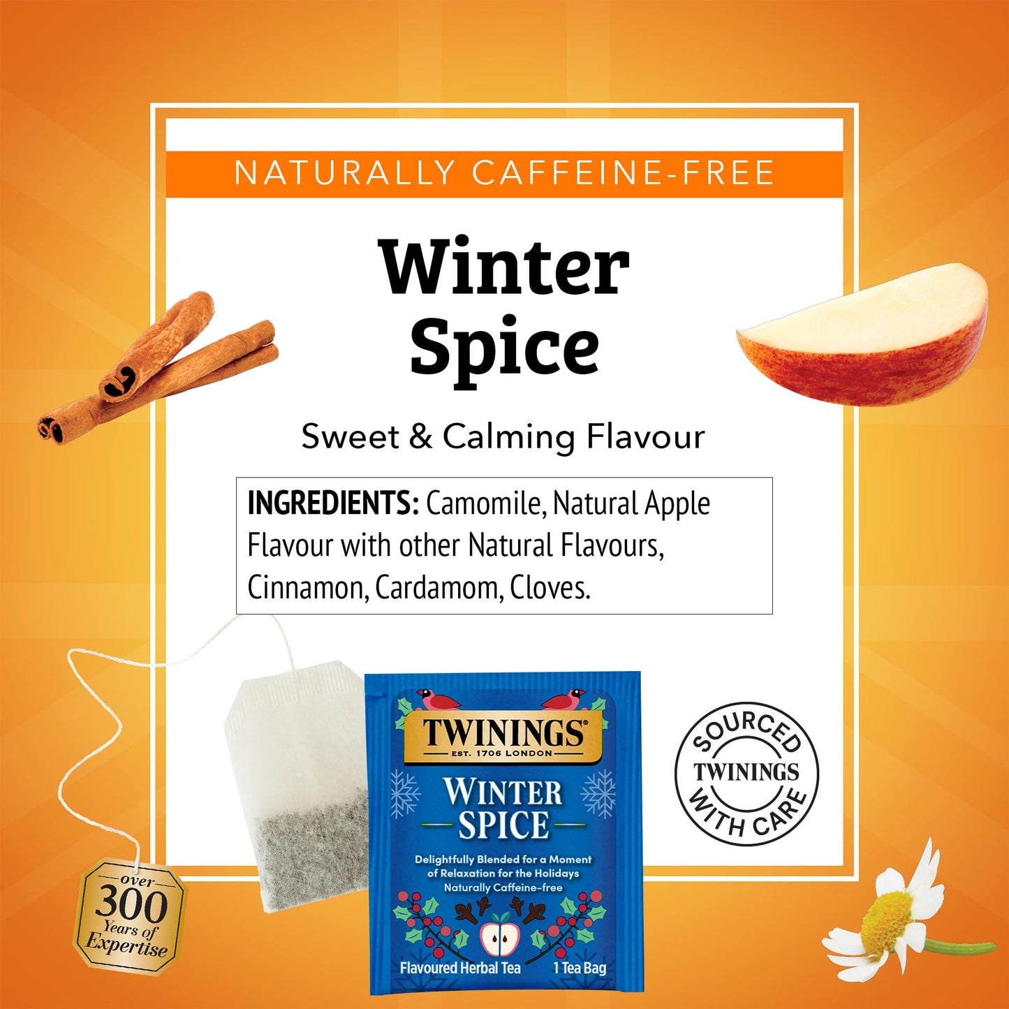 Twinings Winter Spice 20 Tea Bags
