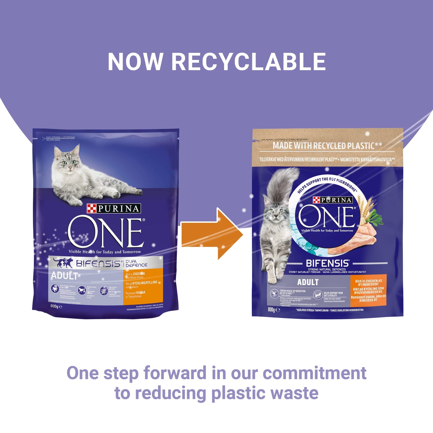 PURINA ONE | Dry Cat Food, Chicken and Wholegrains, 3kg